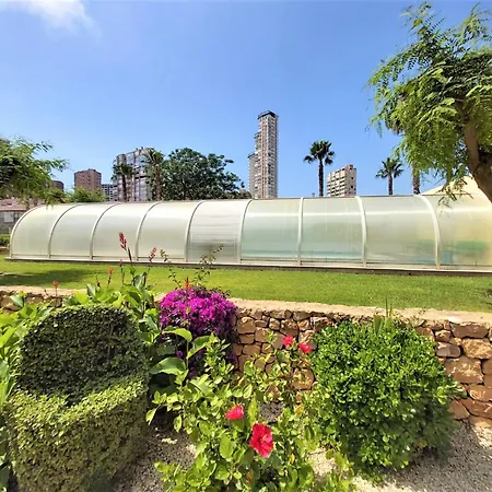 Gemelos 22-1-16 Lejlighed Benidorm